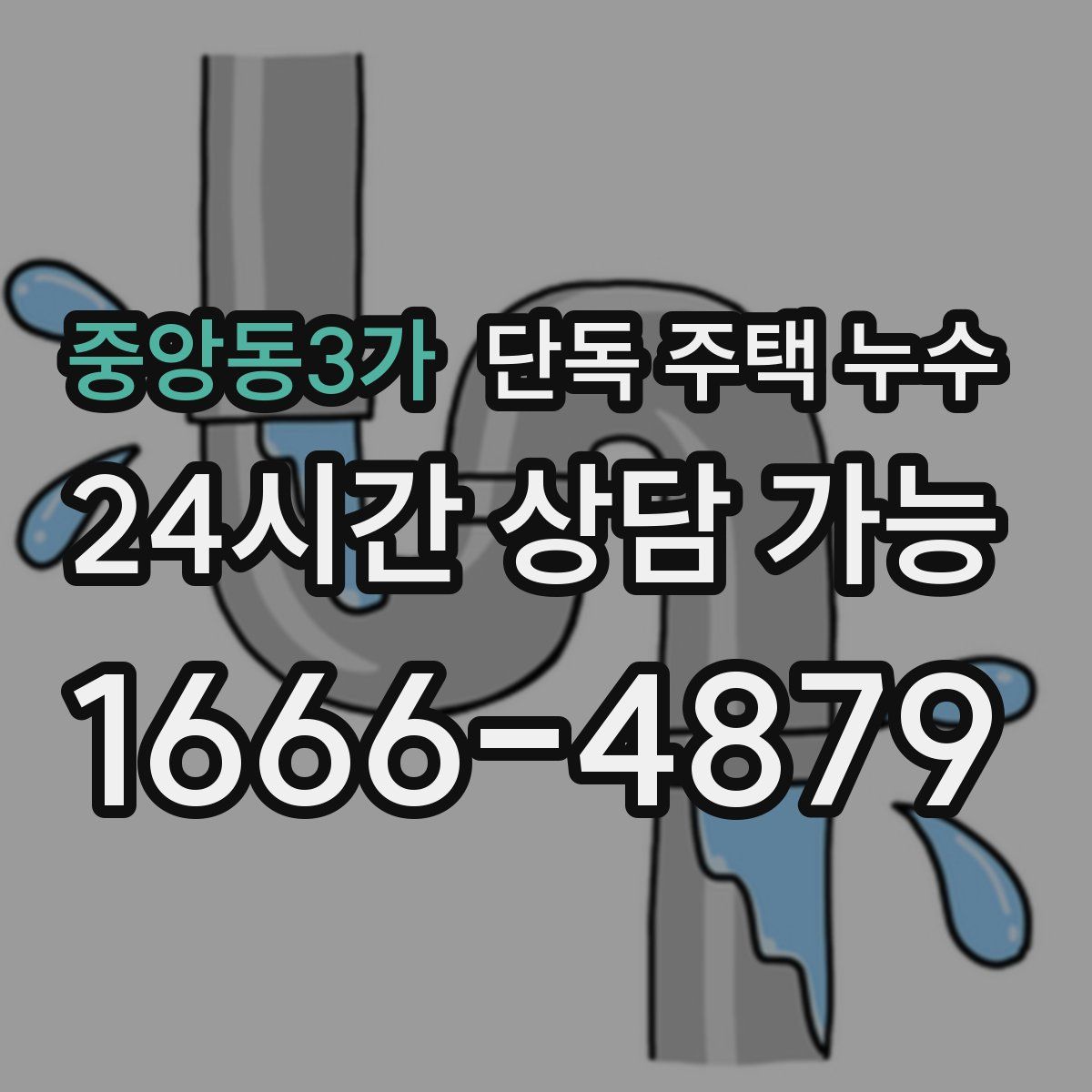 중앙동3가 단독 주택 누수