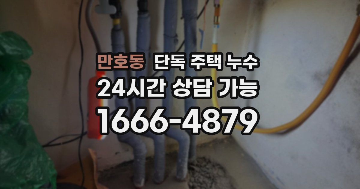 만호동 단독 주택 누수