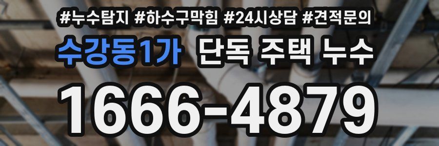 수강동1가 단독 주택 누수