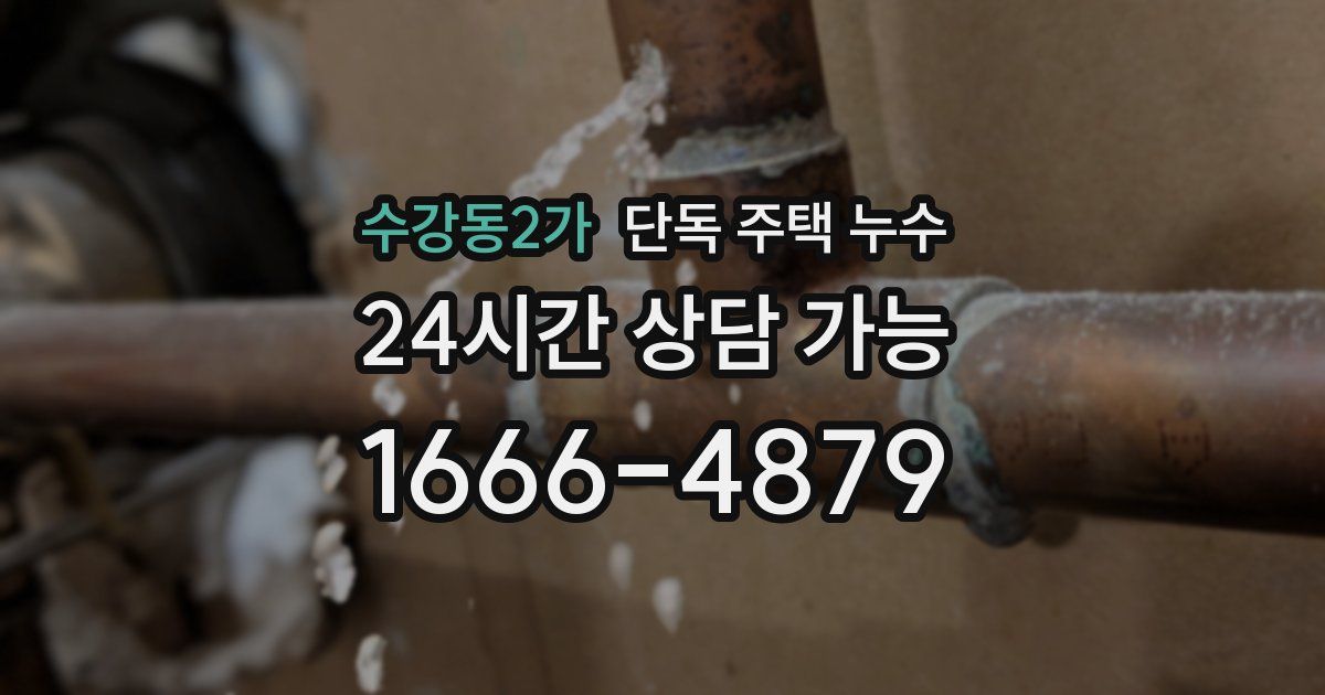 수강동2가 단독 주택 누수