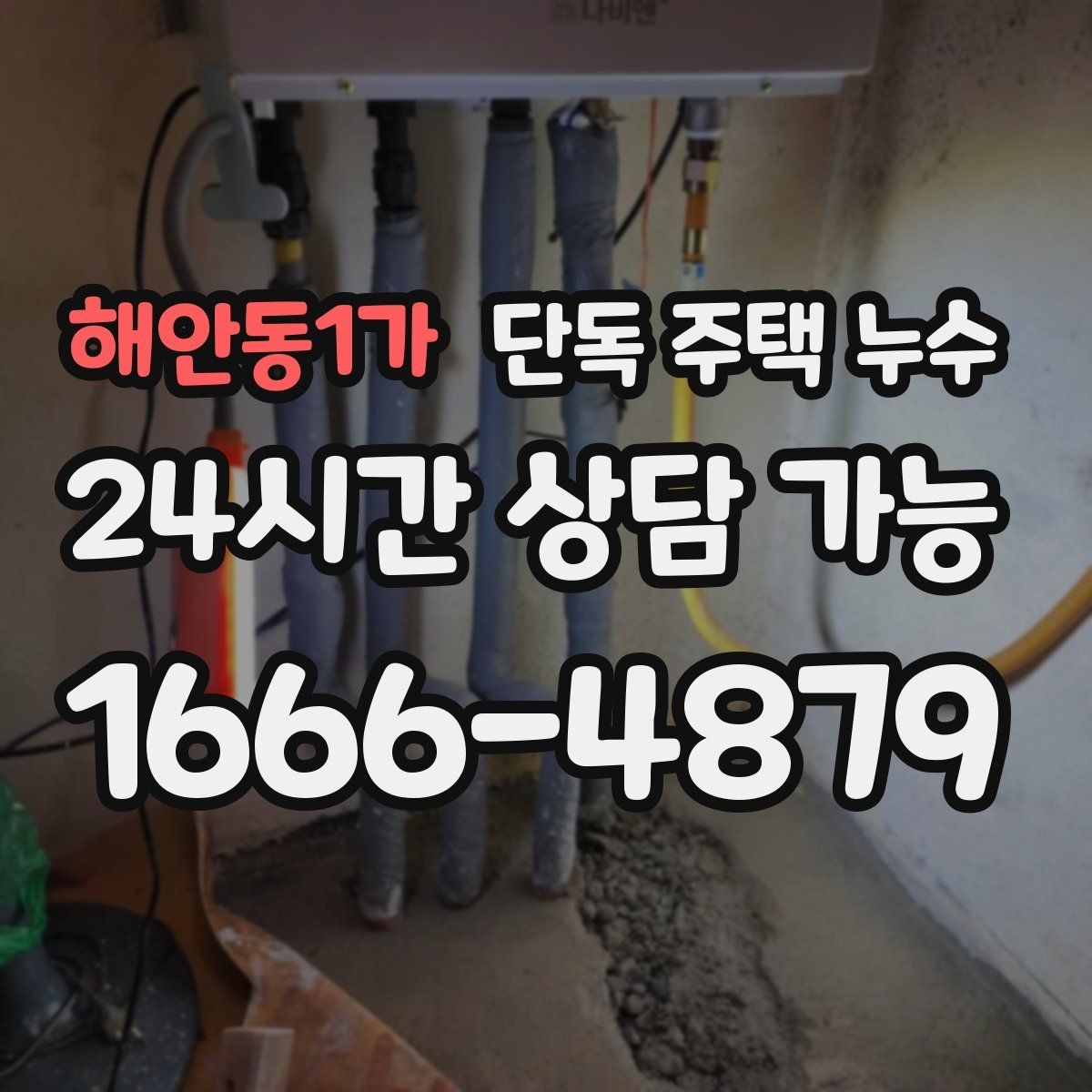 해안동1가 단독 주택 누수 한 번에 끝내는 점검 흐름 한눈에 정리