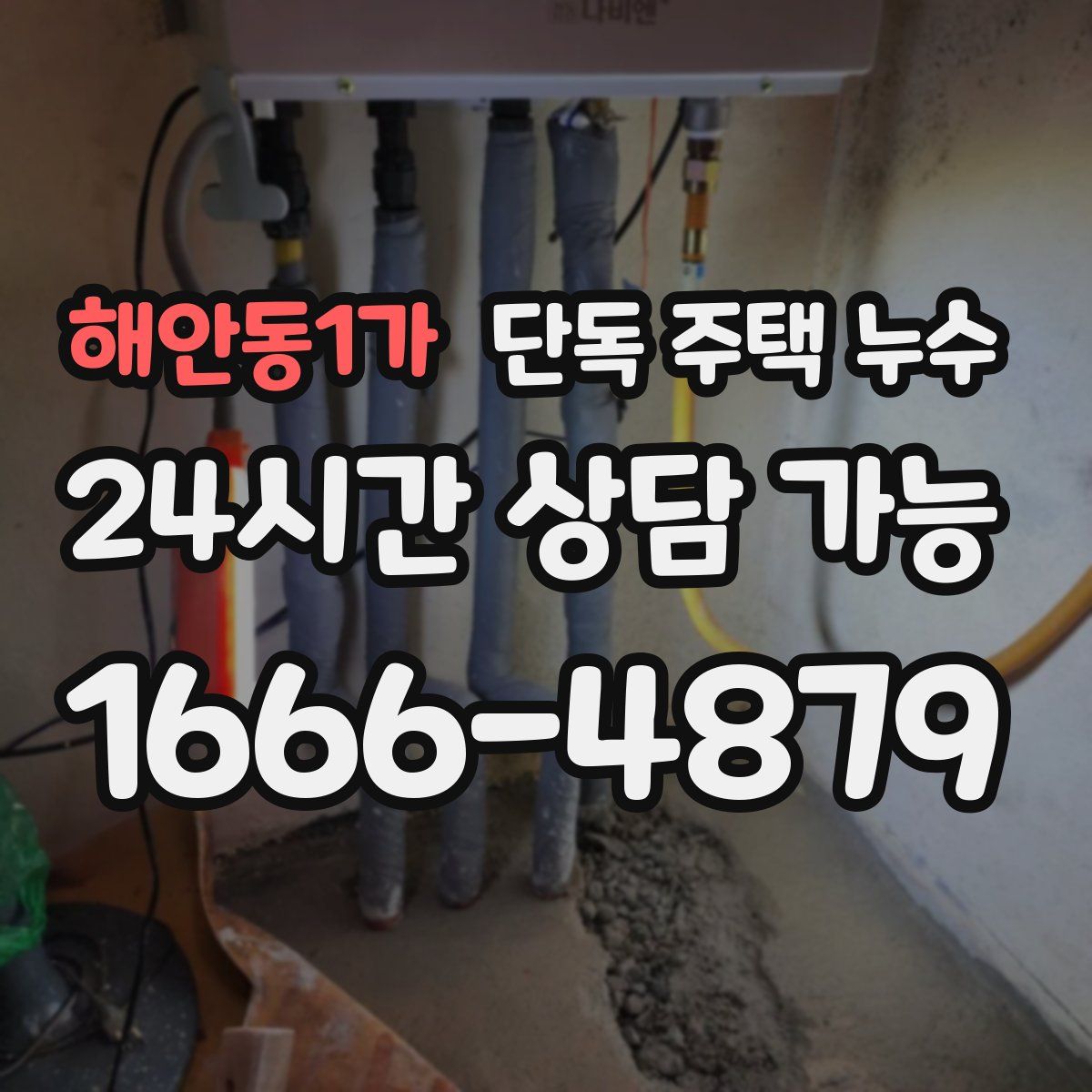 해안동1가 단독 주택 누수