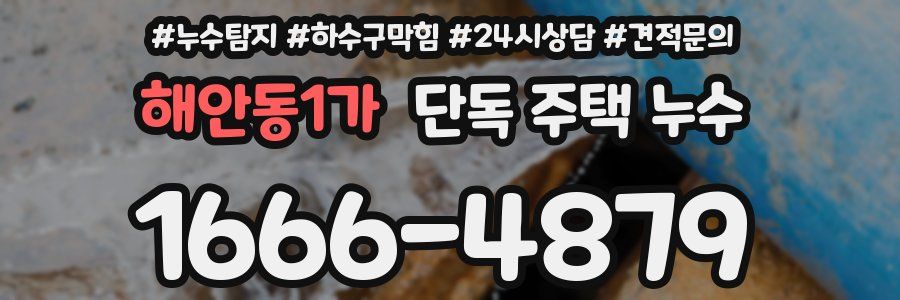해안동1가 단독 주택 누수