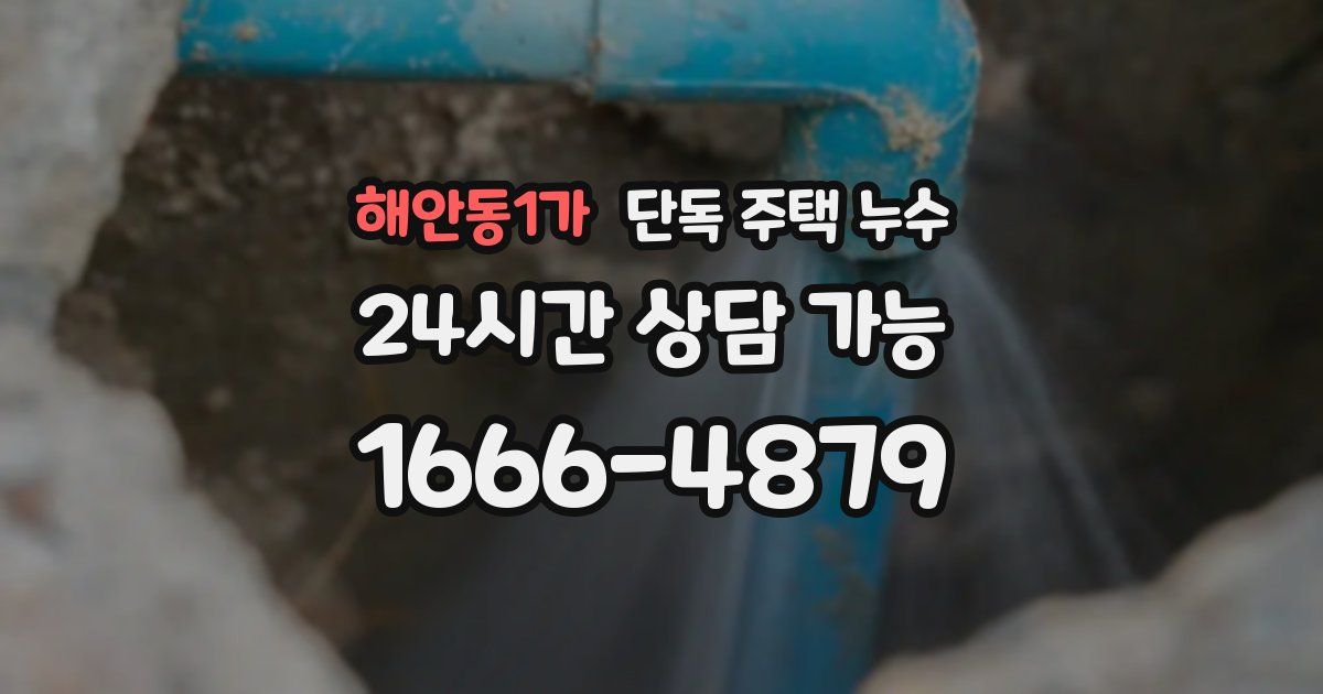해안동1가 단독 주택 누수