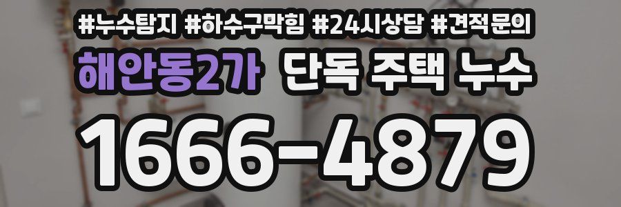 해안동2가 단독 주택 누수