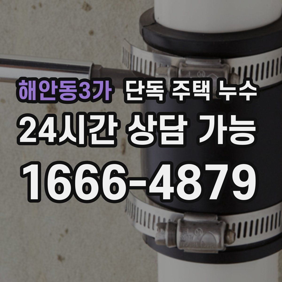 해안동3가 단독 주택 누수