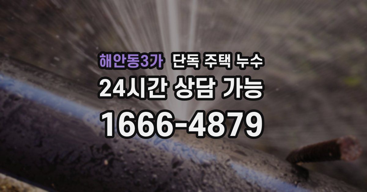 해안동3가 단독 주택 누수