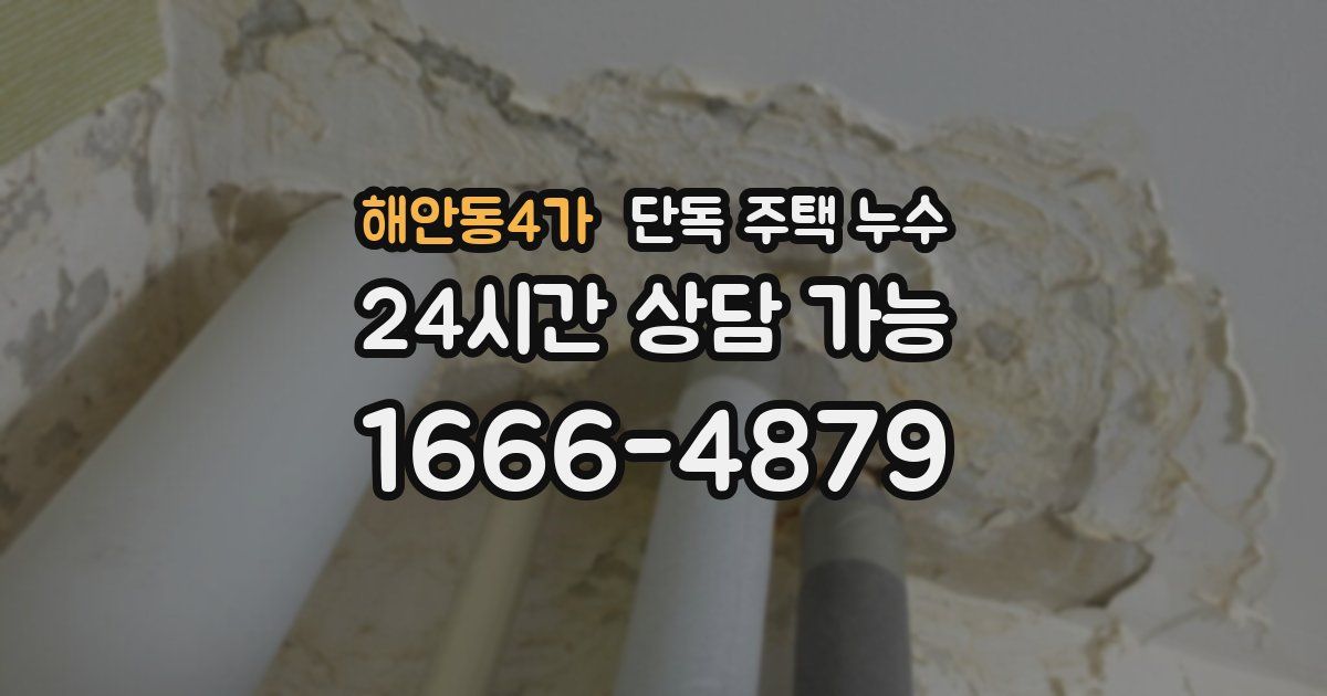 해안동4가 단독 주택 누수