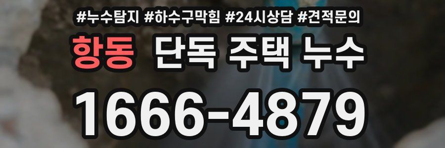 항동 단독 주택 누수
