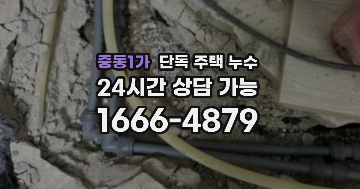 중동1가 단독 주택 누수