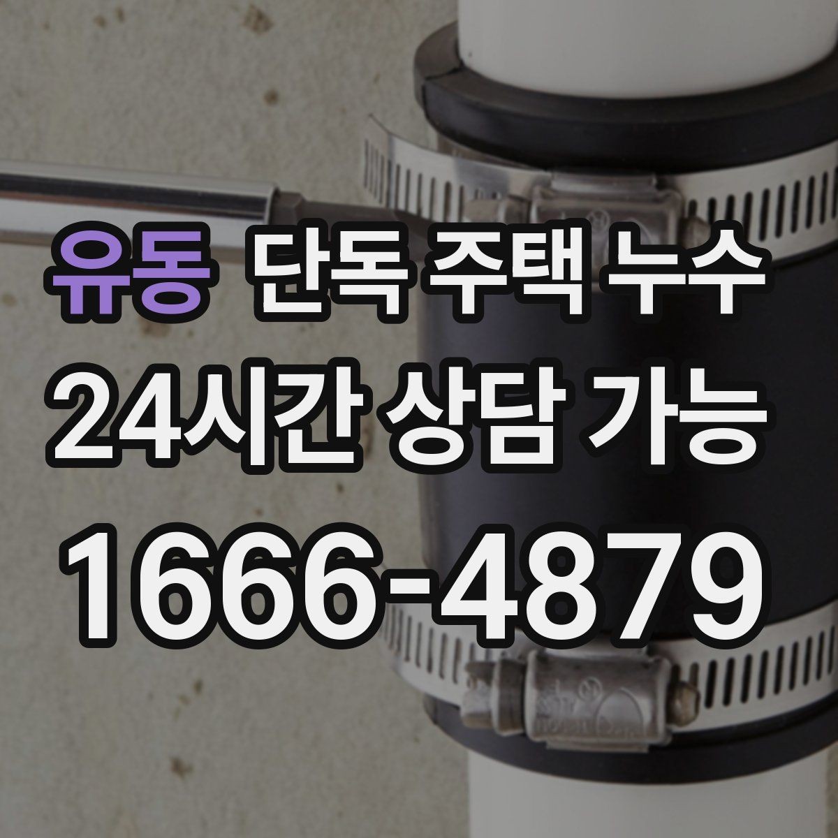 유동 단독 주택 누수 주방 하부장 뒤 벽이 젖을 때