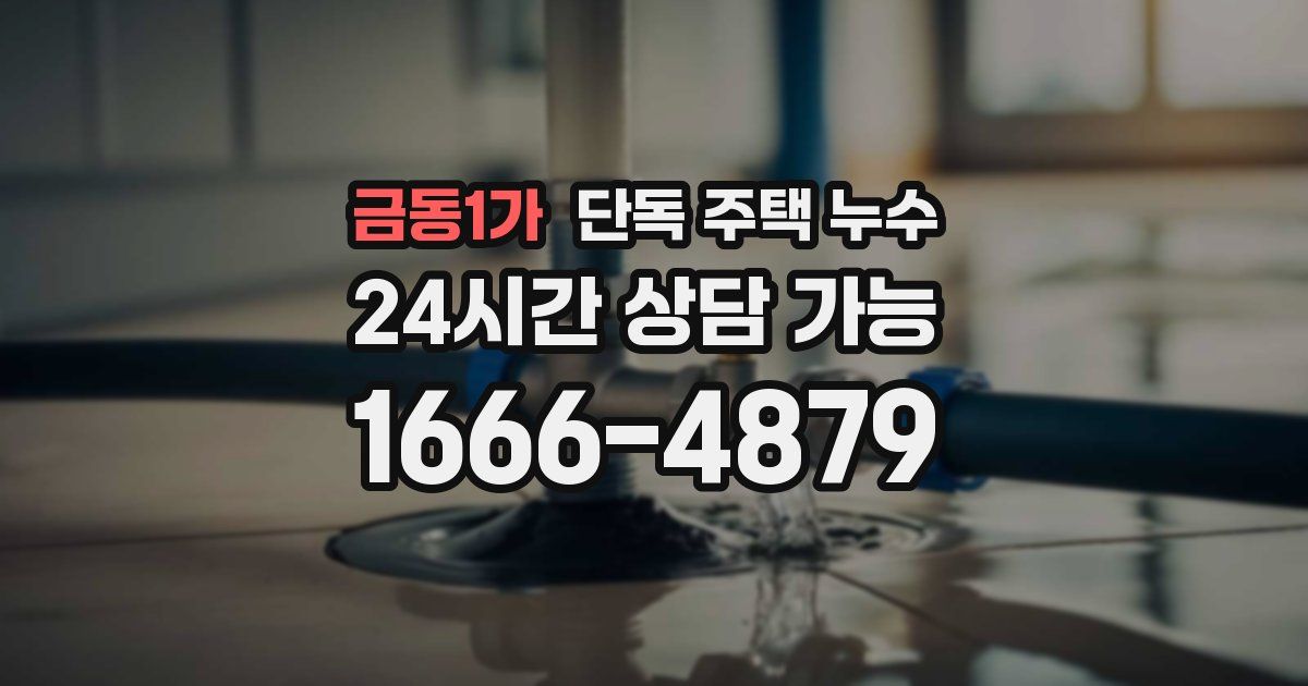 금동1가 단독 주택 누수