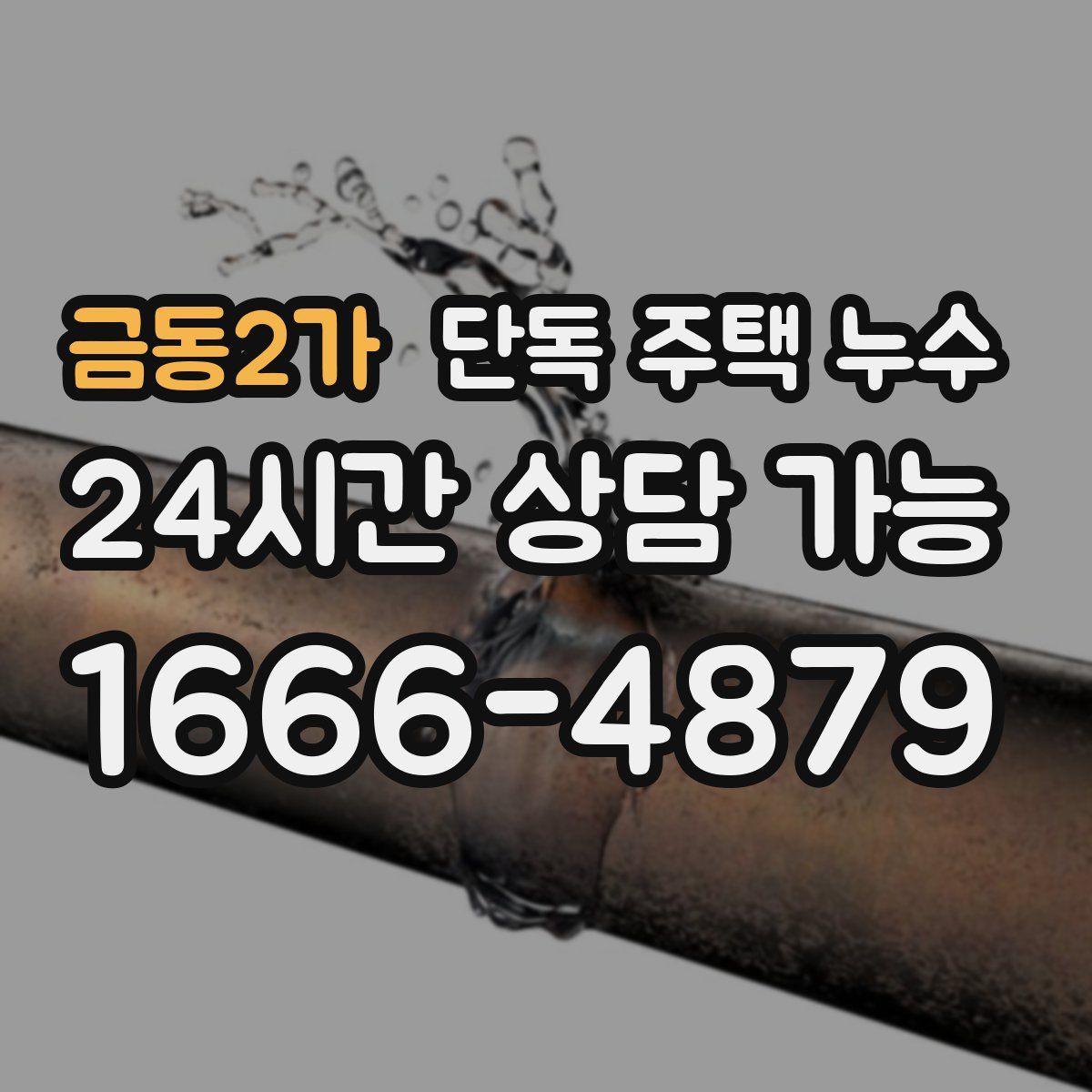 금동2가 단독 주택 누수
