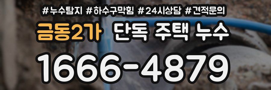 금동2가 단독 주택 누수