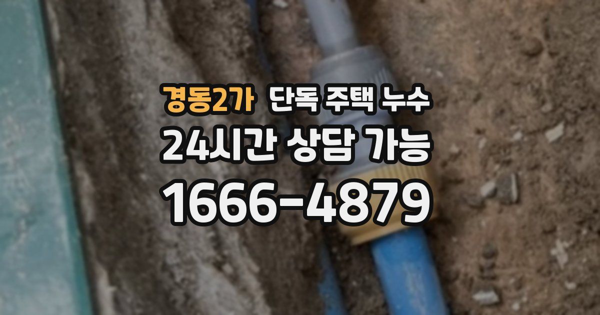 경동2가 단독 주택 누수