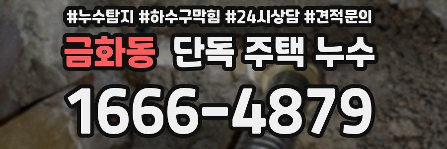 금화동 단독 주택 누수