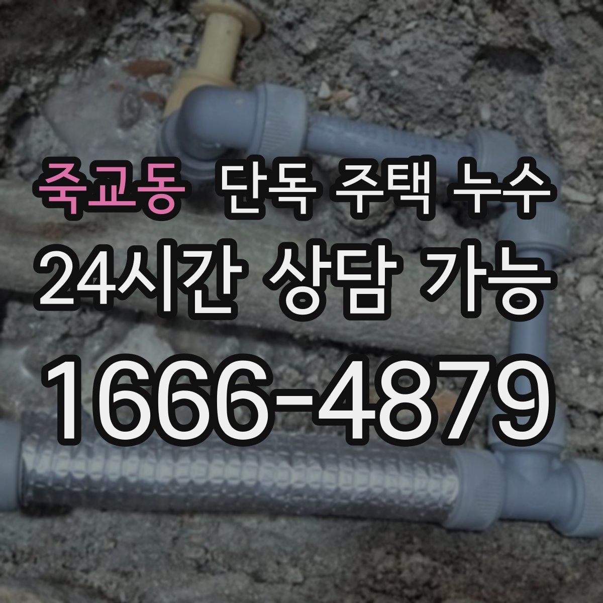 죽교동 단독 주택 누수