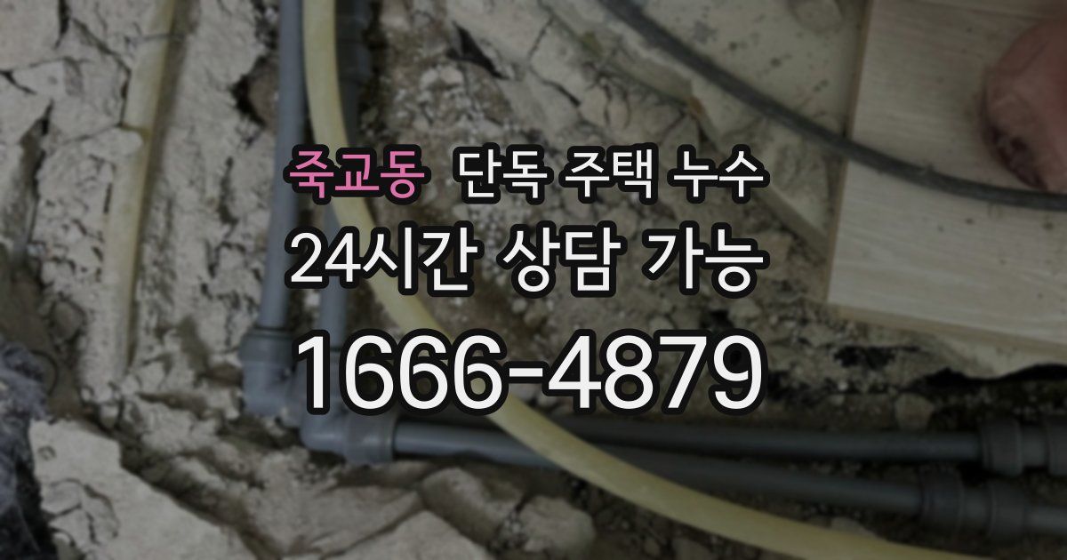 죽교동 단독 주택 누수