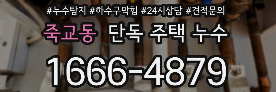 죽교동 단독 주택 누수