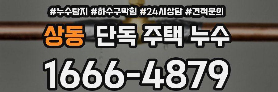 상동 단독 주택 누수