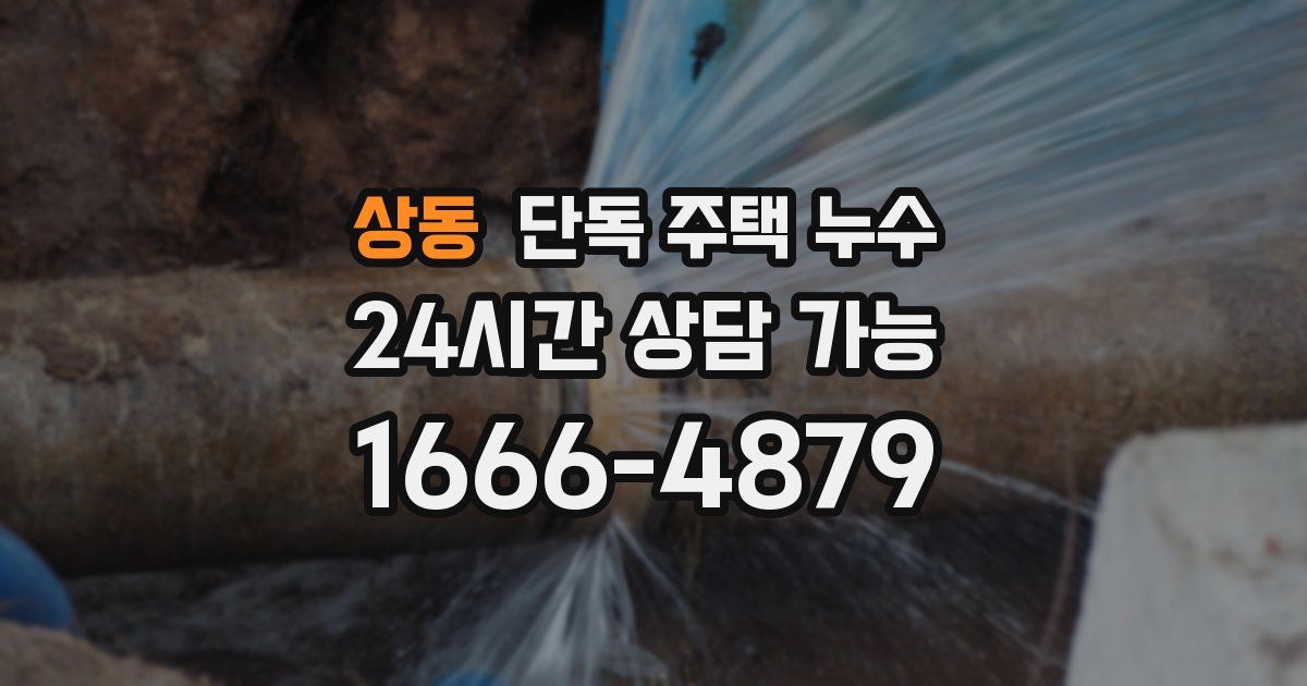 상동 단독 주택 누수