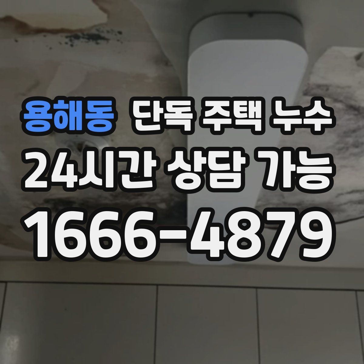 용해동 단독 주택 누수 거실만 젖는다면 지붕을 의심해야 할까