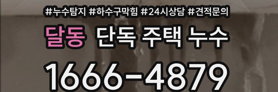 달동 단독 주택 누수