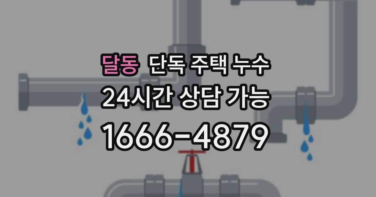 달동 단독 주택 누수