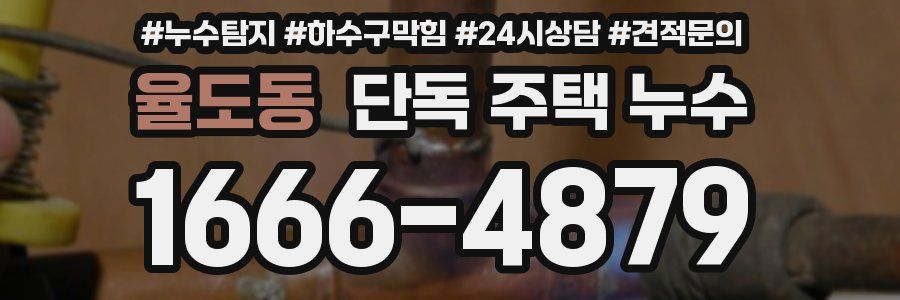 율도동 단독 주택 누수