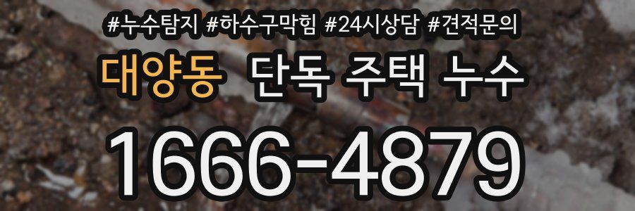 대양동 단독 주택 누수