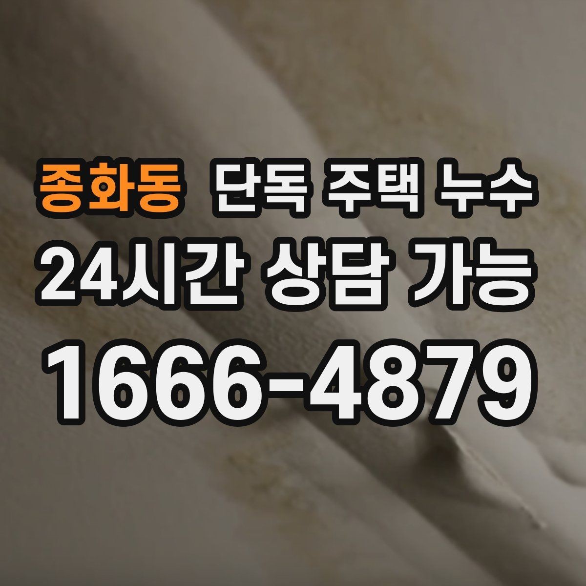 종화동 단독 주택 누수 실내 모서리 곰팡이가 띠처럼 생길 때