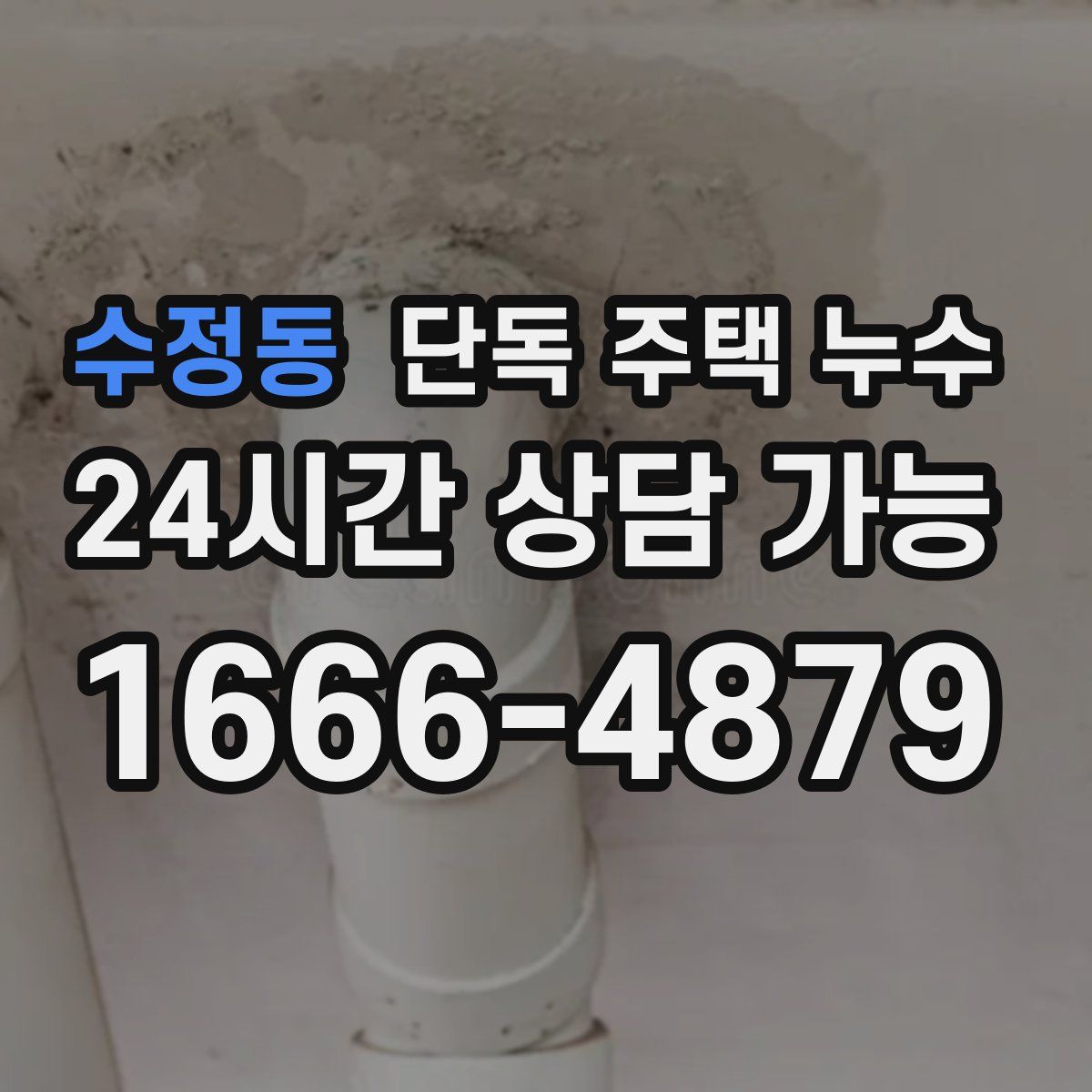 수정동 단독 주택 누수