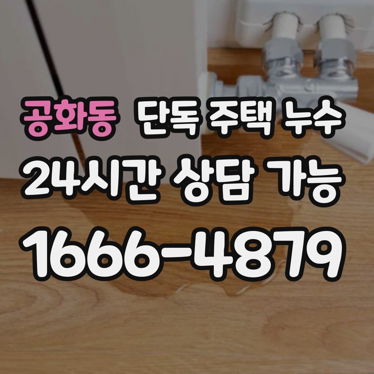공화동 단독 주택 누수 주방 벽면이 젖는다면 배관부터 볼까