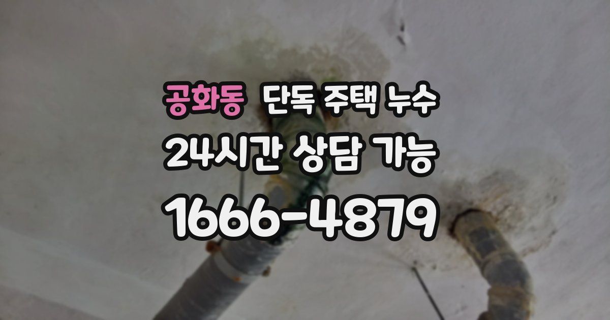 공화동 단독 주택 누수