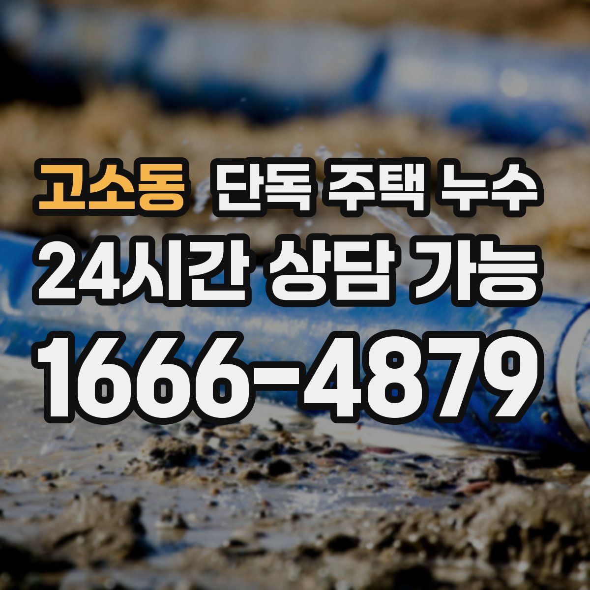 고소동 단독 주택 누수