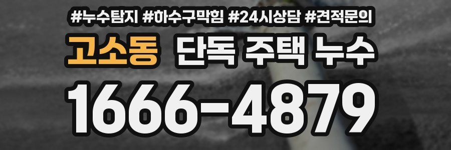 고소동 단독 주택 누수