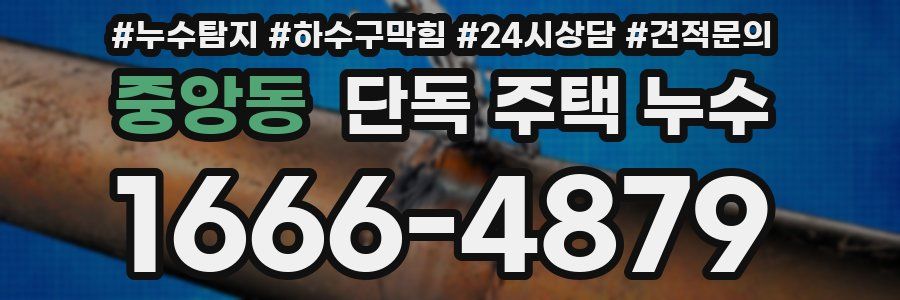 중앙동 단독 주택 누수