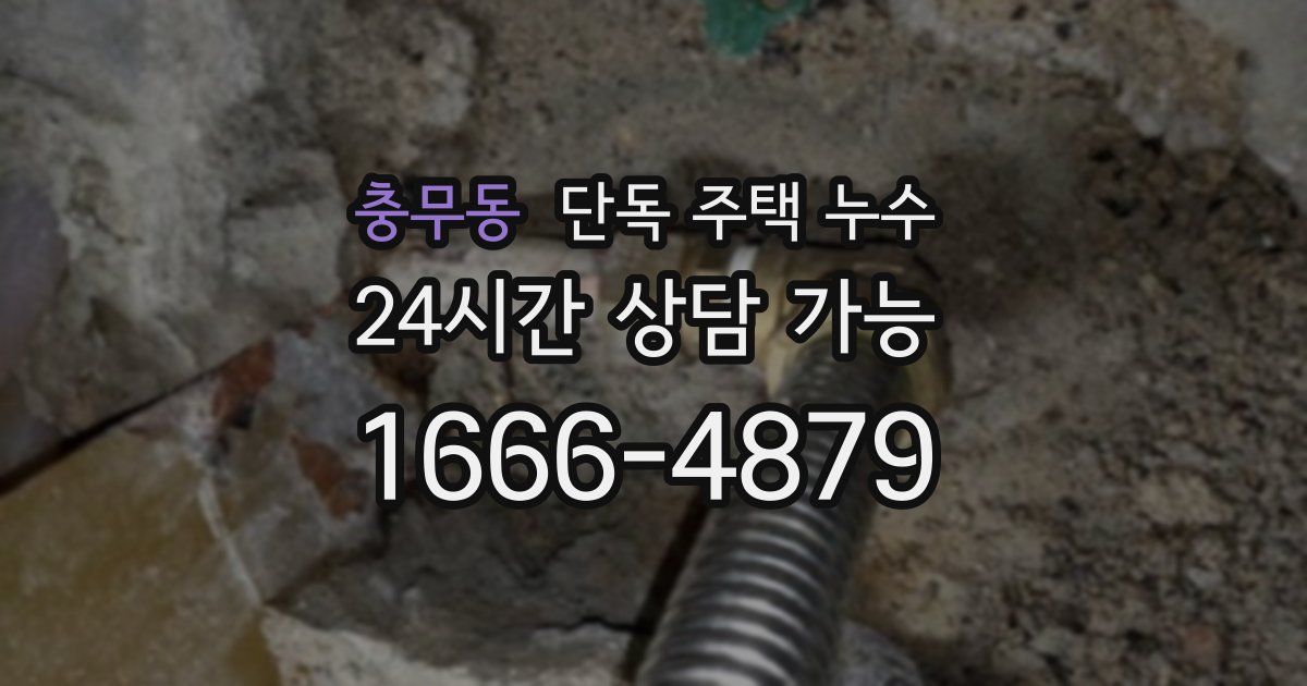 충무동 단독 주택 누수