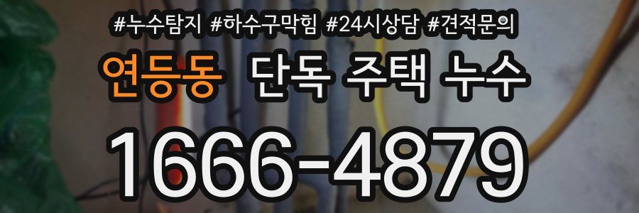 연등동 단독 주택 누수