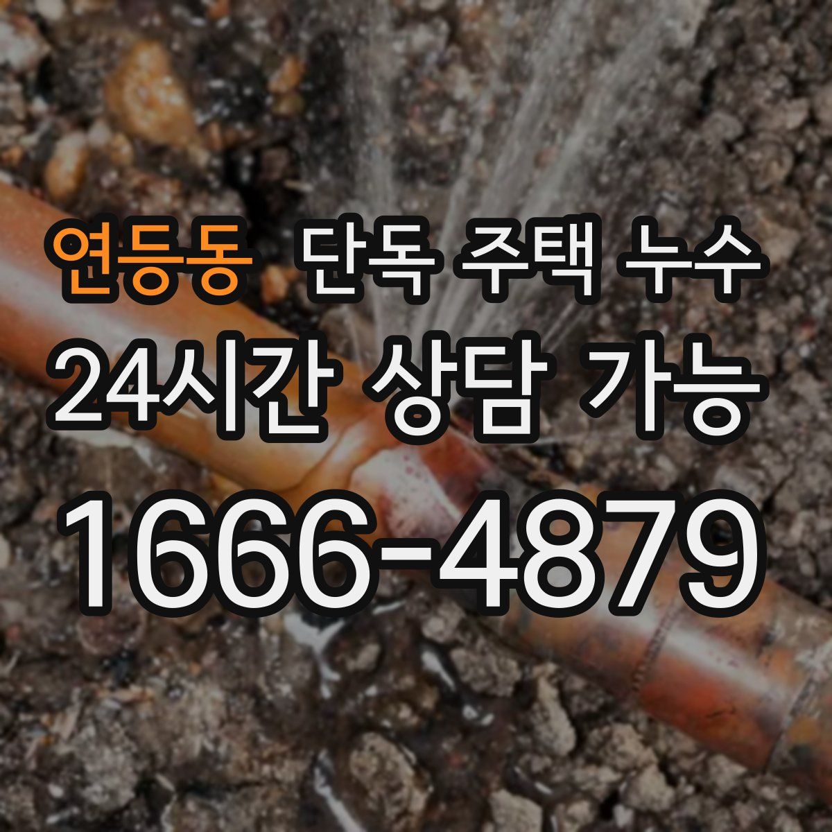 연등동 단독 주택 누수