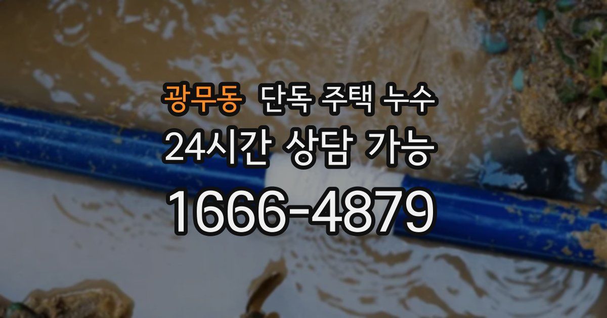 광무동 단독 주택 누수