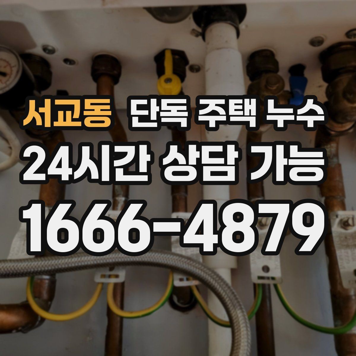 서교동 단독 주택 누수 냄새가 올라올 때 배관 누수 가능성