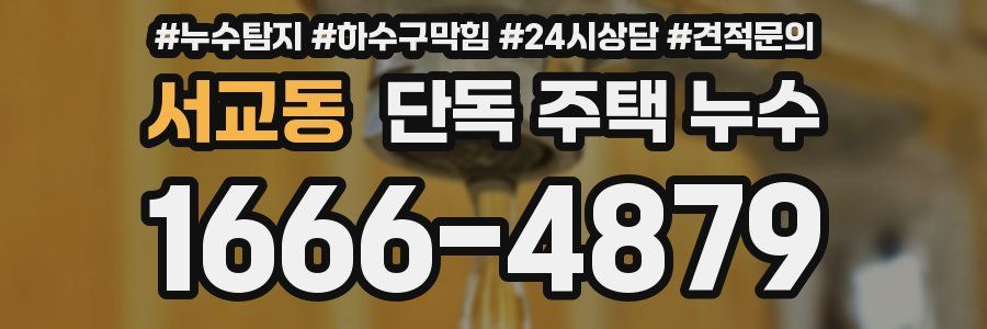 서교동 단독 주택 누수