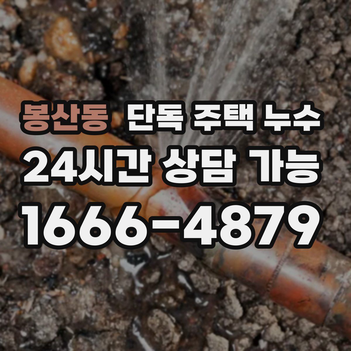 봉산동 단독 주택 누수