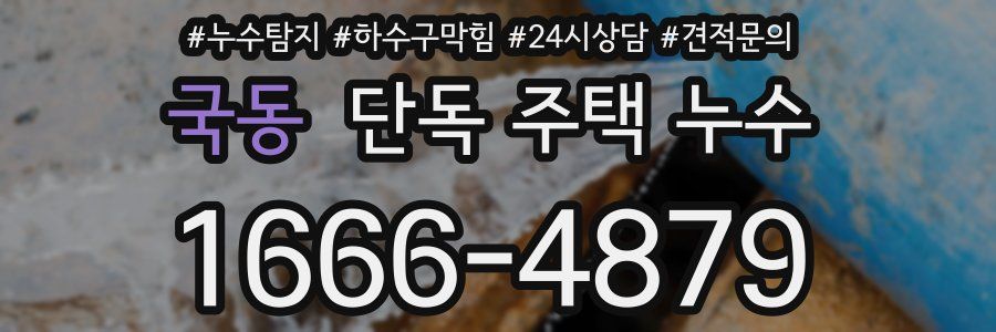 국동 단독 주택 누수