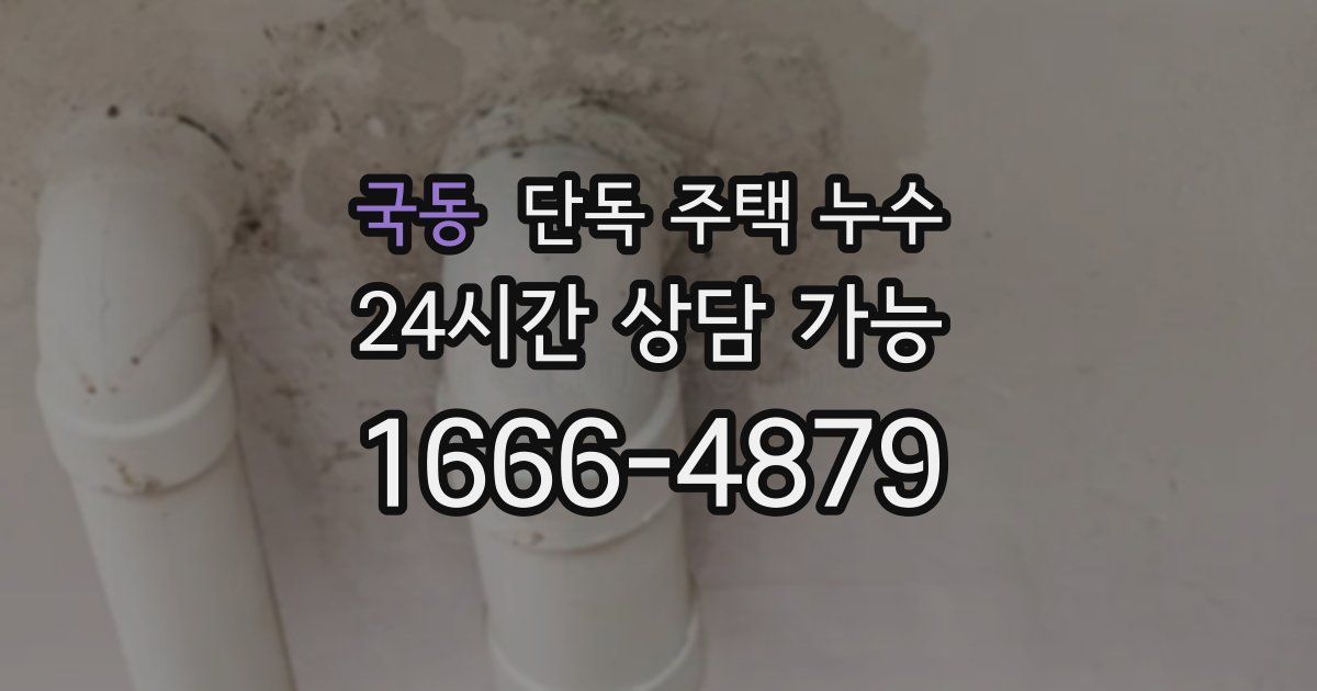 국동 단독 주택 누수