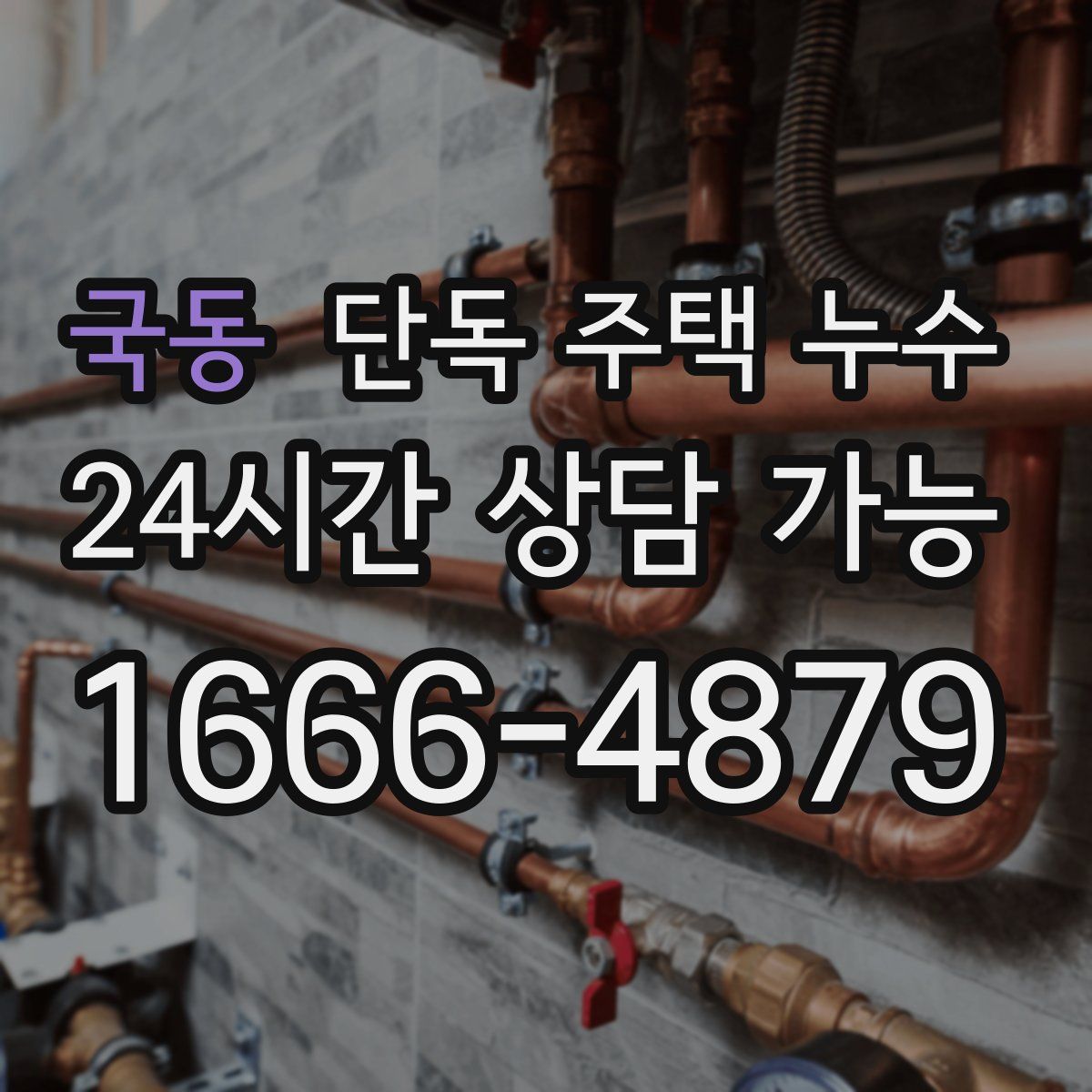 국동 단독 주택 누수