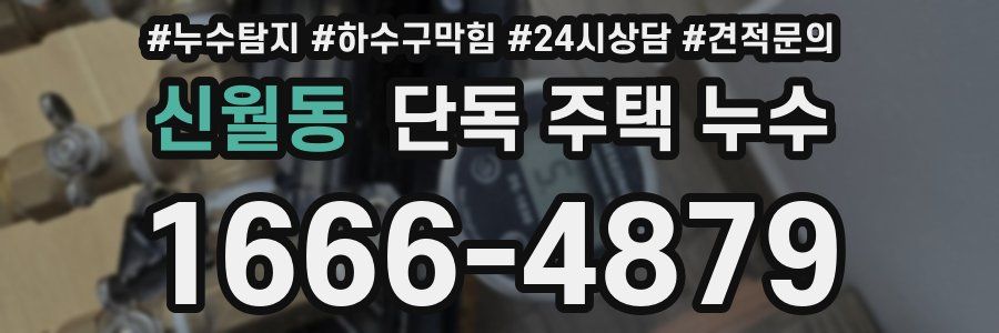 신월동 단독 주택 누수