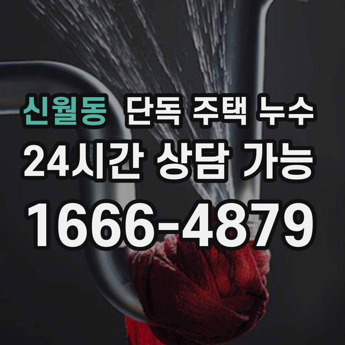 신월동 단독 주택 누수