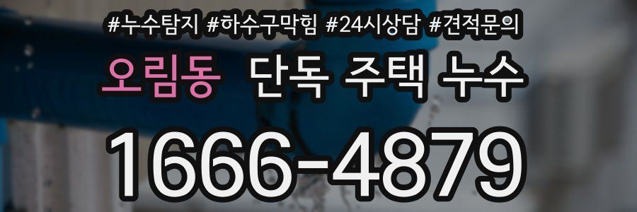 오림동 단독 주택 누수
